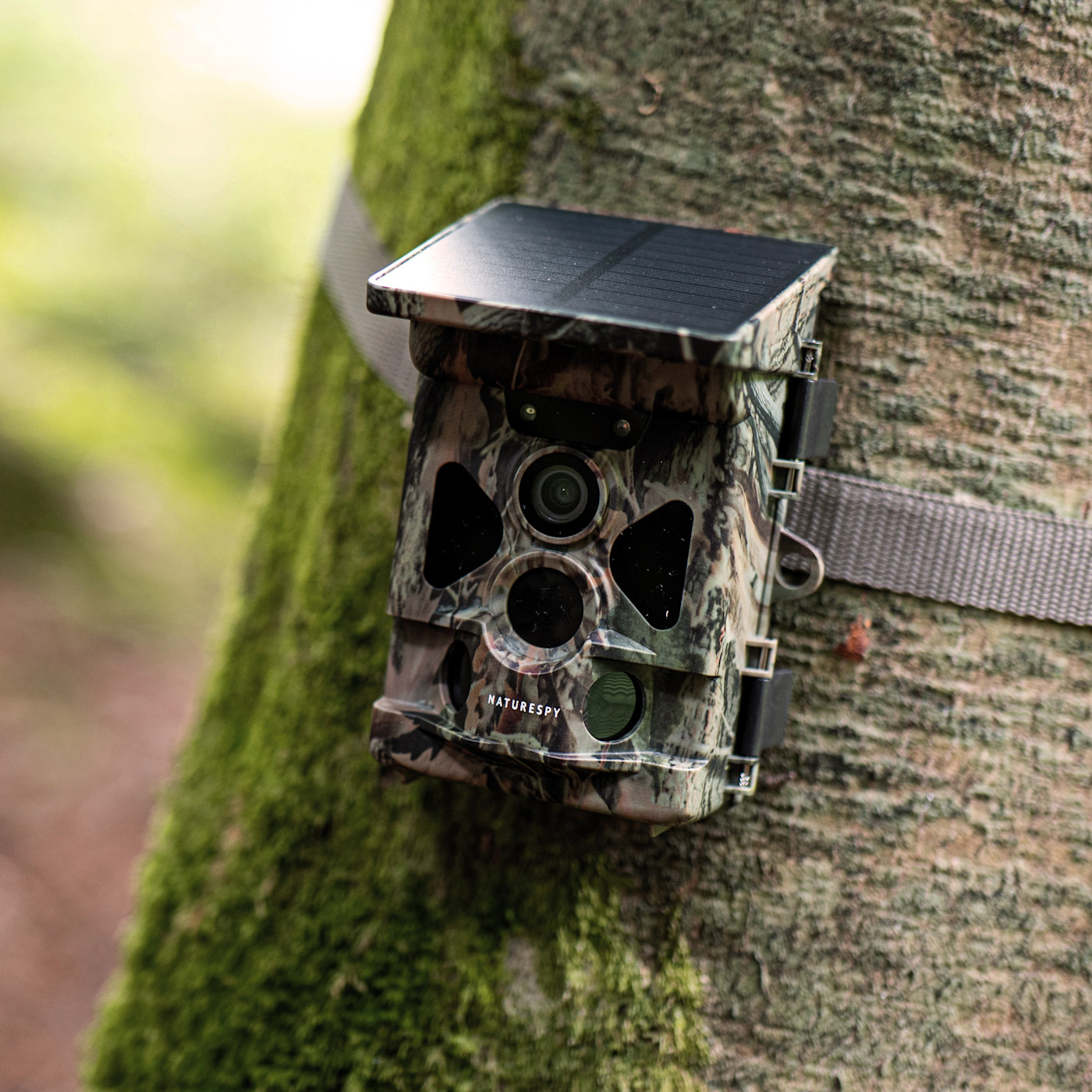 나무줄기에 묶인 Nature Spy Helarctos Solar 트레일 카메라