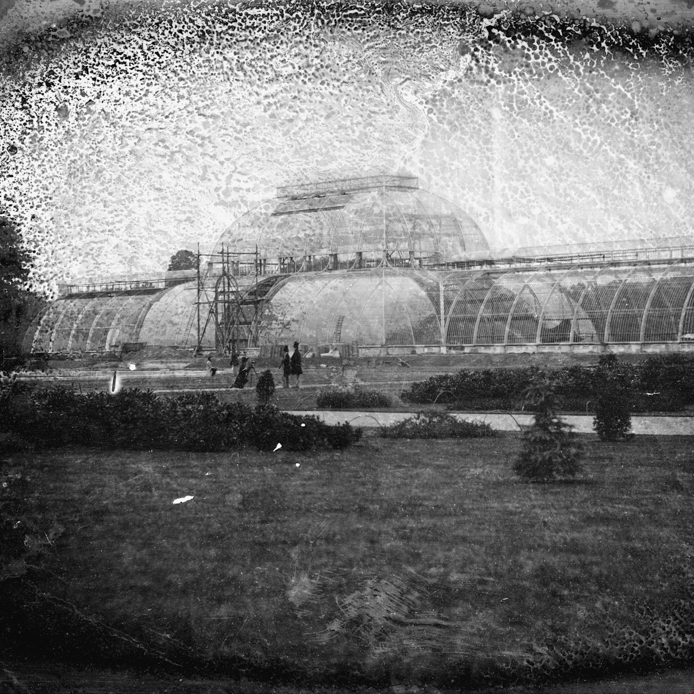 큐 가든스 팜 하우스 외관을 담은 가장 오래된 사진으로, 유리와 철제 구조물에 비계가 설치돼 있고 앞쪽으로 여러 사람이 걷고 있다.
