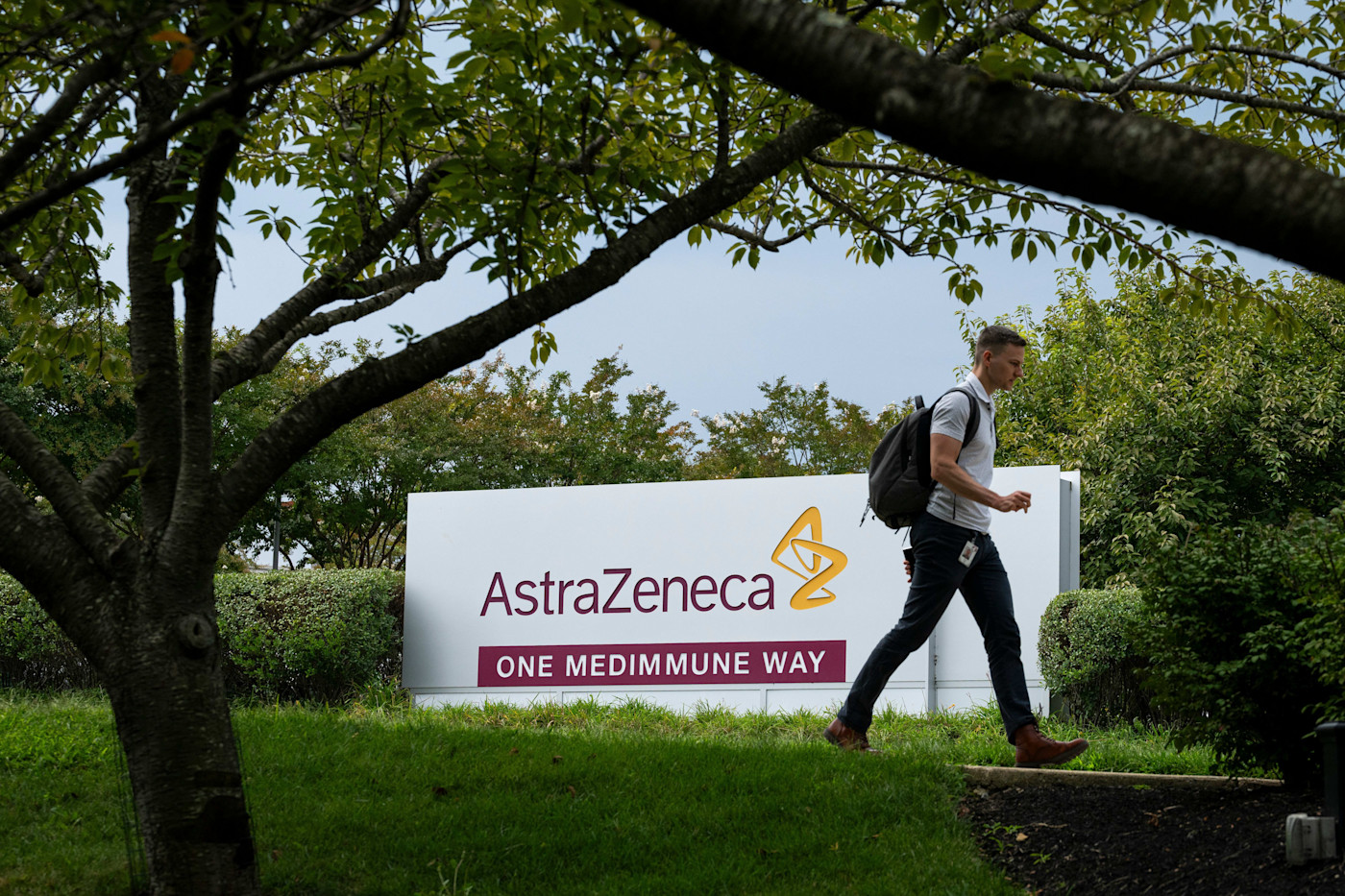 한 사람이 녹음과 나무로 둘러싸인 AstraZeneca의 Gaithersburg 시설에서 대형 회사 표지판 앞을 지나가고 있다.