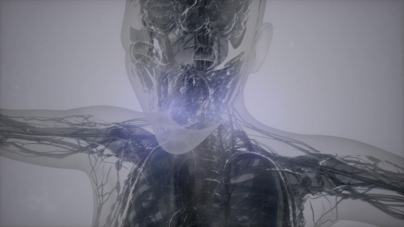 상반신의 3D 자기공명영상(MRI) 스캔을 보여주는 삽화로, 내부 구조와 혈관이 강조되어 있음